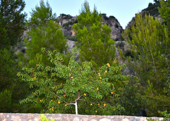 Bay View Appartement